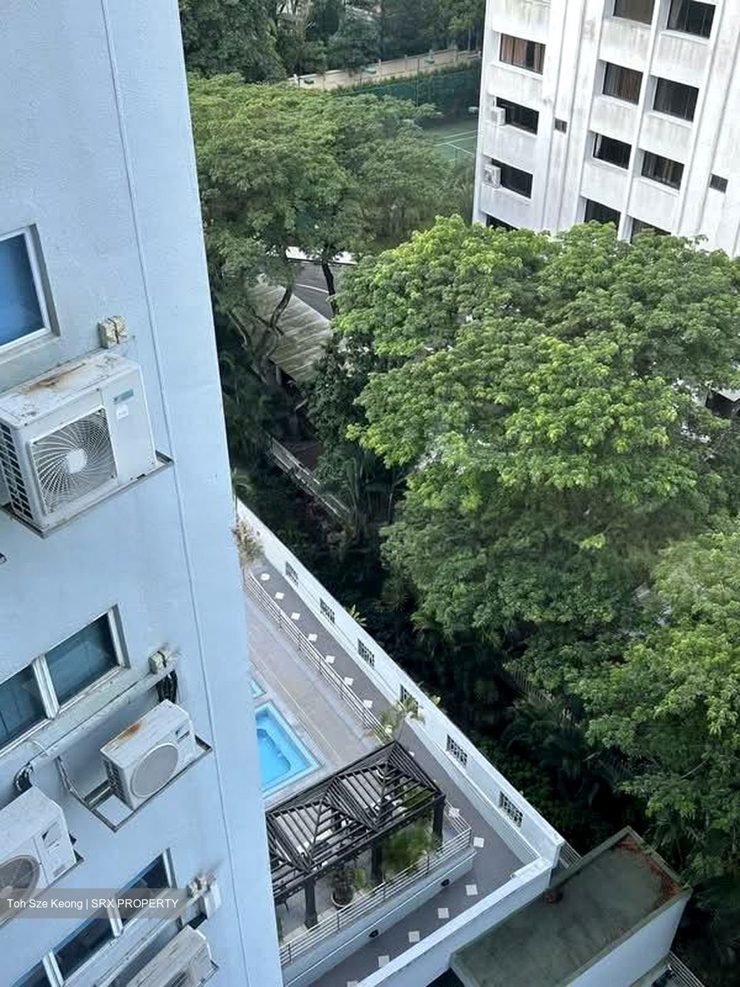 Leedon 2 (D10), Condominium #551174081